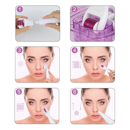 6 in 1 Derma Roller Cosmetic Microneedle Kit