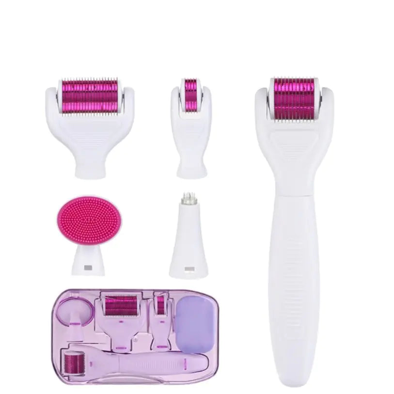 6 in 1 Derma Roller Cosmetic Microneedle Kit